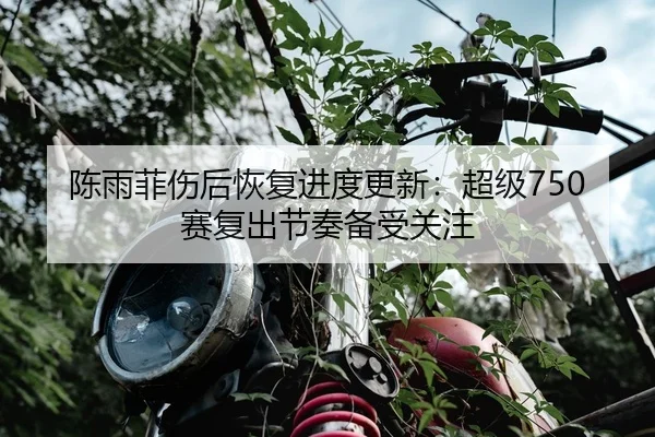 陈雨菲伤后恢复进度更新：超级750赛复出节奏备受关注